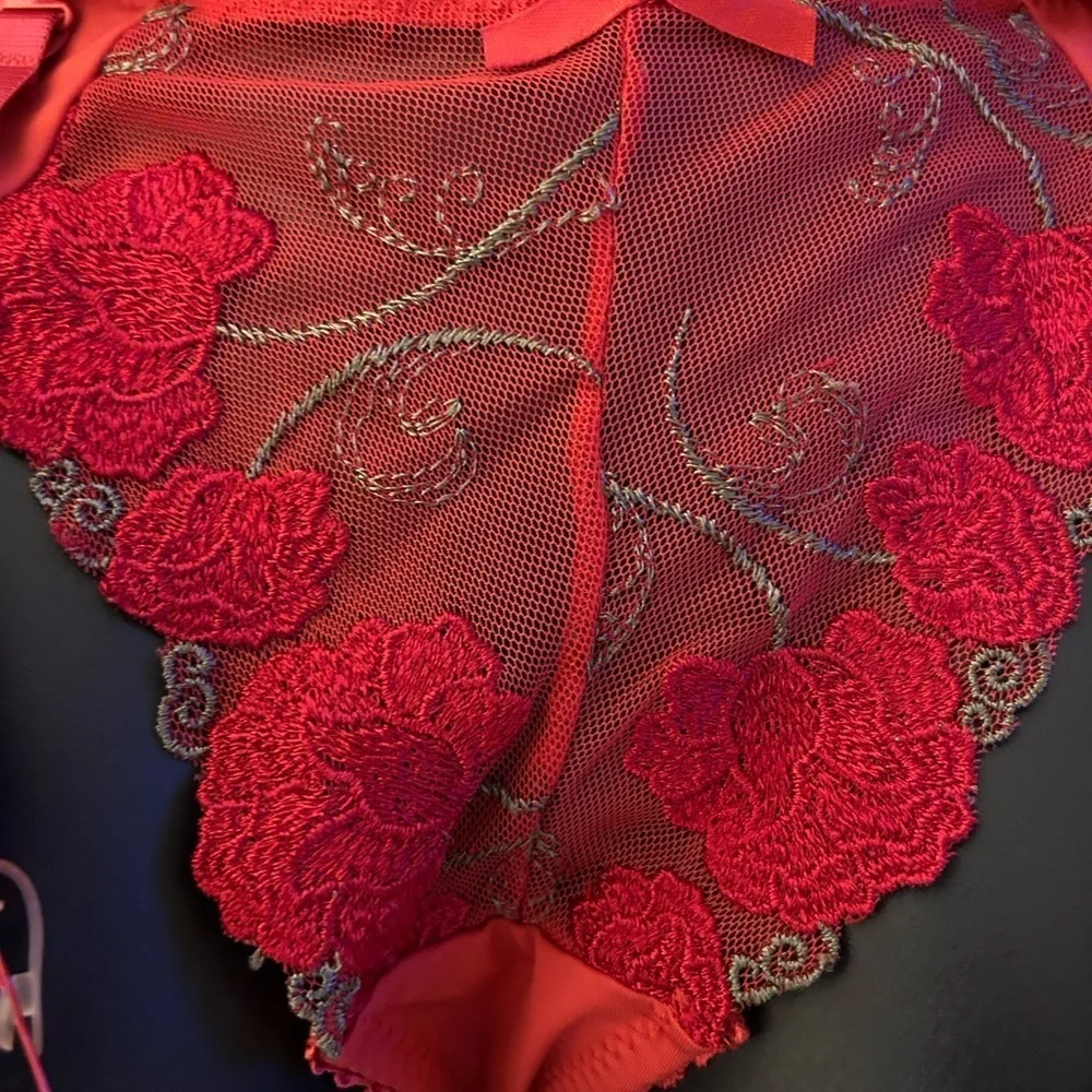 Donna L’oren Matching Corset with Garter and panties set.